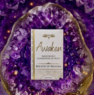 Breath of Brahma (Cartridge)